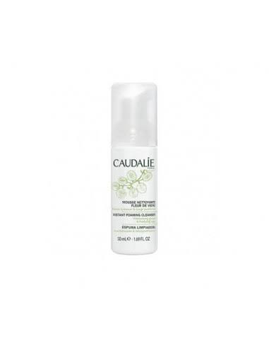 INSTANT FOAMING CLEANSER