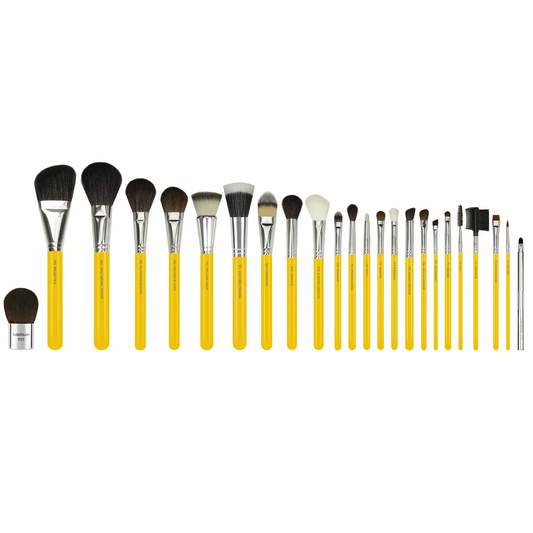 STUDIO SERIES LUXURY BRUSH SET 24PZ
