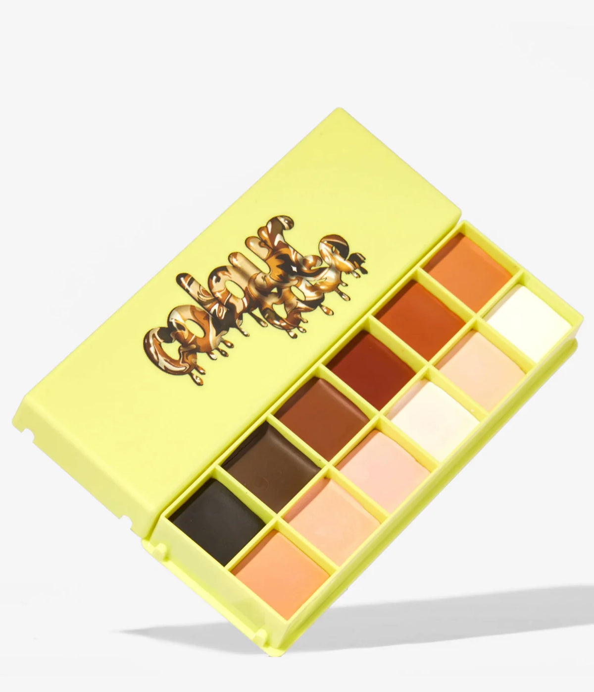 COSMETIC PAINT PALETTE THE ESSENCIALS